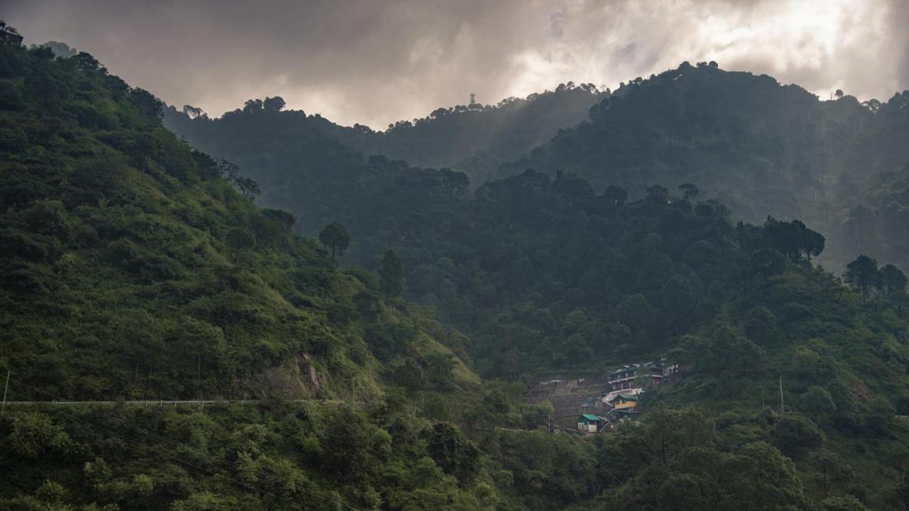 Safarmaina Resort Kasauli Buitenkant foto