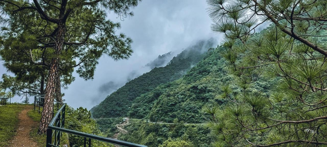Safarmaina Resort Kasauli Buitenkant foto