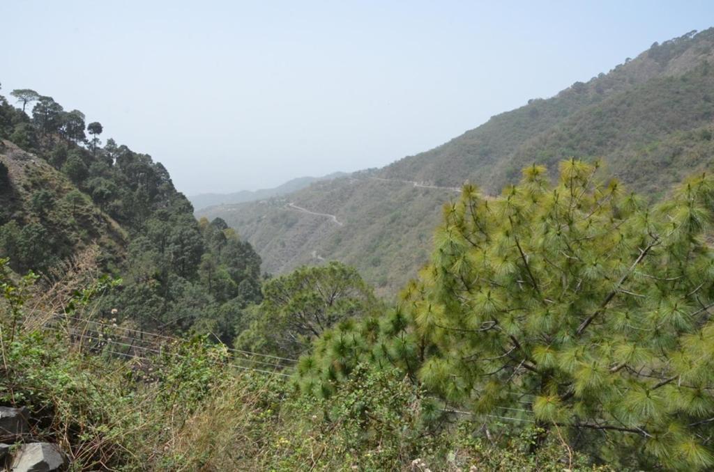 Safarmaina Resort Kasauli Buitenkant foto