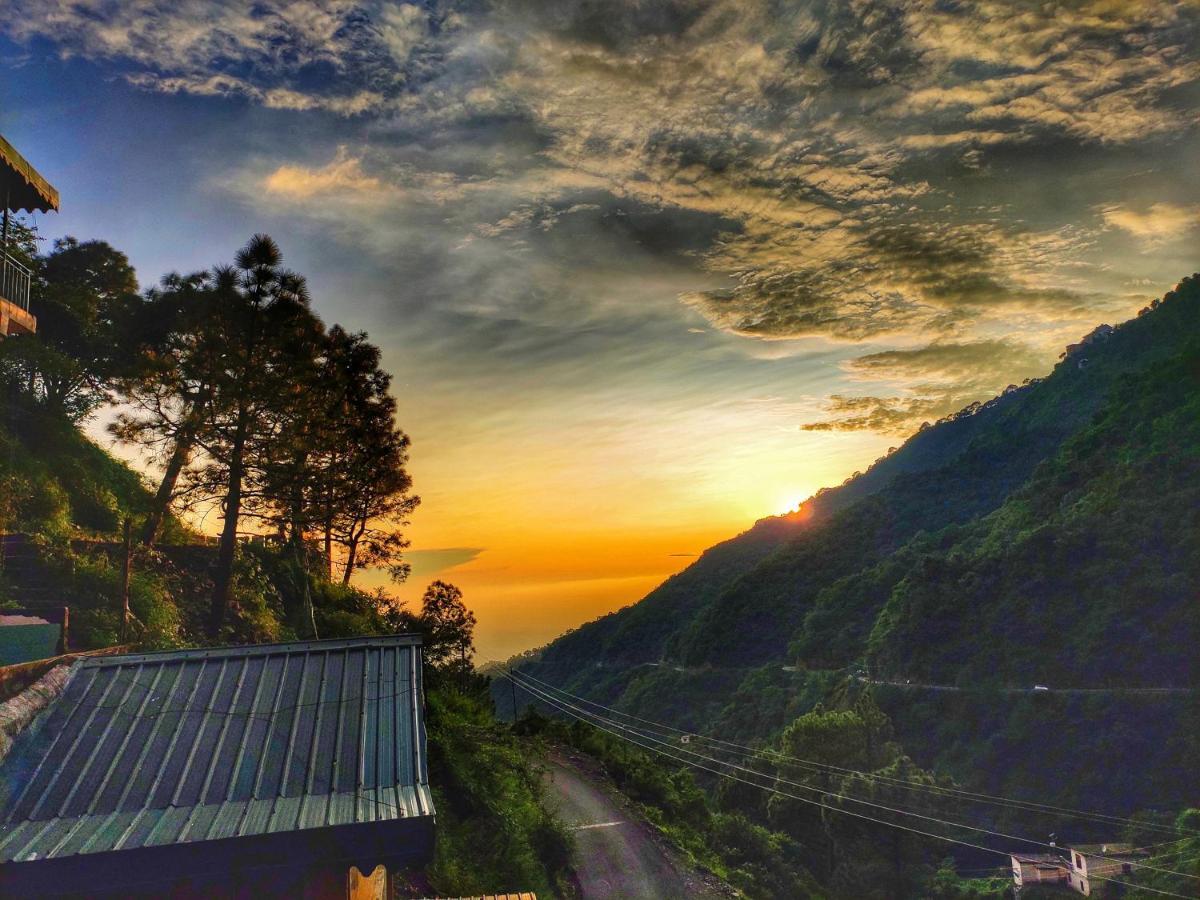 Safarmaina Resort Kasauli Buitenkant foto